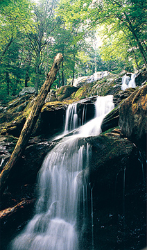 Shenandoah National Park, Luray, Virginia